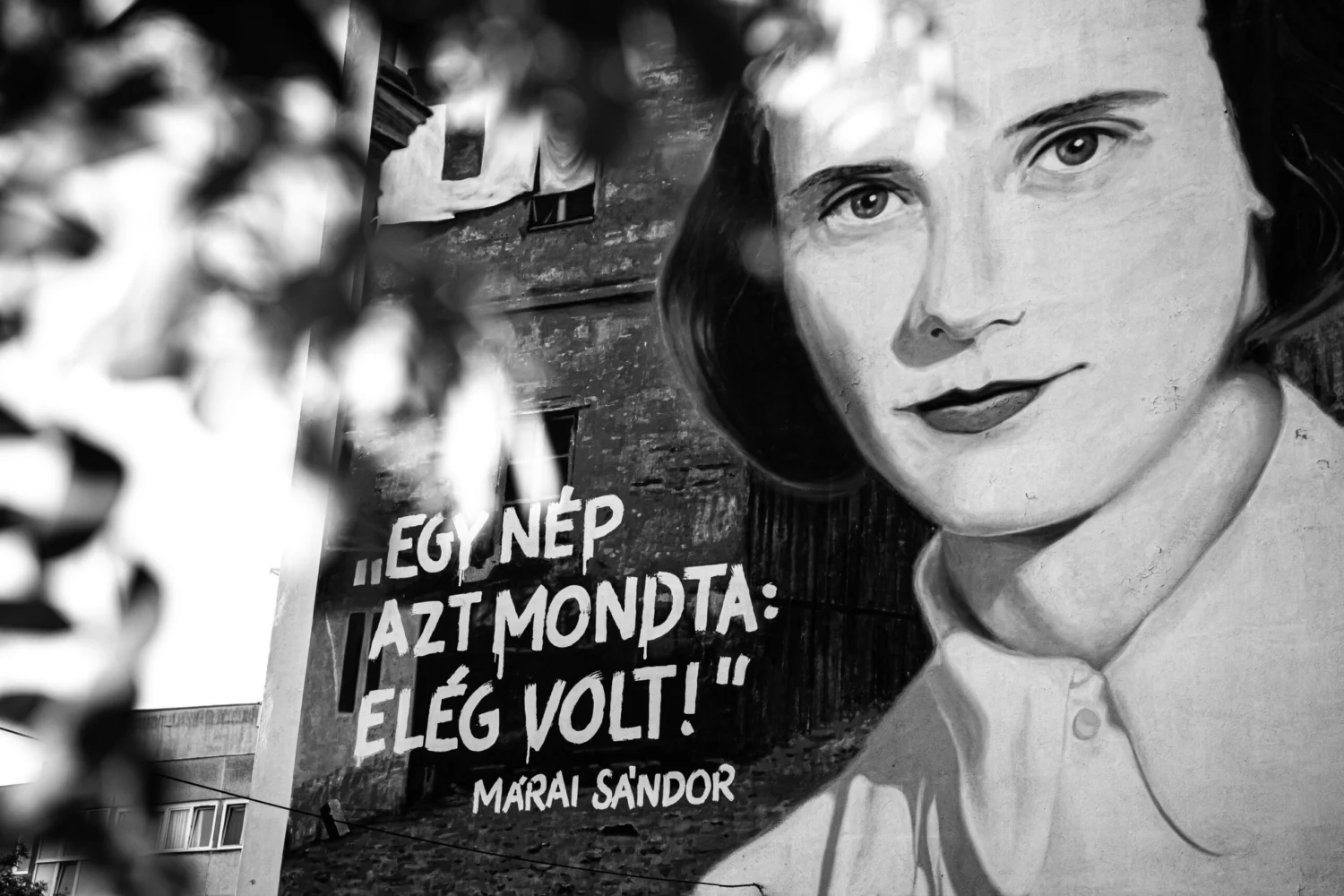 Néma kiáltás