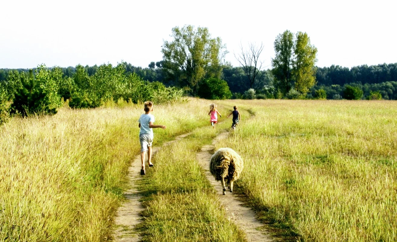Szaladni a végtelenbe